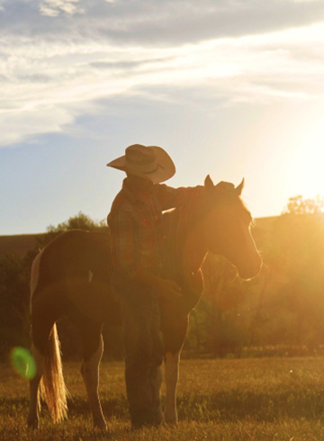 Cowboy with a horse at sunset