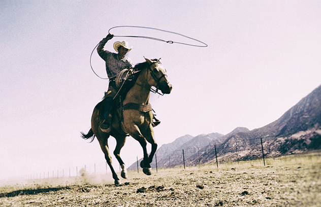 A cowboy on horseback with a lasso